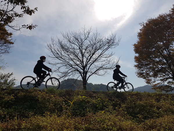 자전거 추억여행 떠나는 광주 북초등학교 학생들. 		 /북초등학교 제공