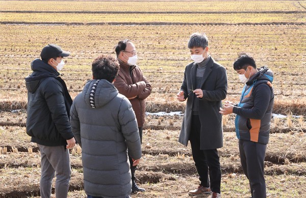 농업기술센터 직원이 올해 파종된 쌀귀리를 살펴보며 재배 기술을 지도하고 있다./강진군 제공