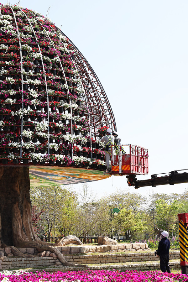 함평군이 제24회 함평나비대축제의 성공적인 개최를 기원하며 행사장인 함평엑스포공원에 4000여 개의 샤피니아 화분으로 높이 14m 규모의 대형 꽃탑을 설치하고 있다.                                                               /함평군 제공