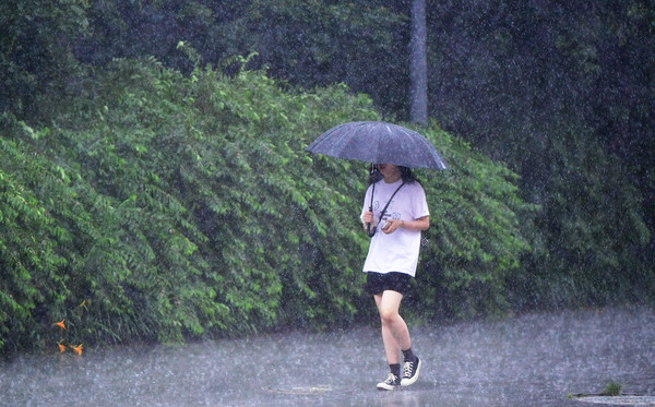 11일 오전 광주 동구 국립아시아문화전당 주변에 내리는 소낙성 폭우 속에서 한 시민이 길을 재촉하고 있다.   									             /뉴시스