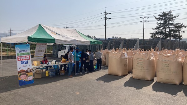 2023년산 공공비축미곡 가루쌀 매입 현장.                                             /해남군 제공